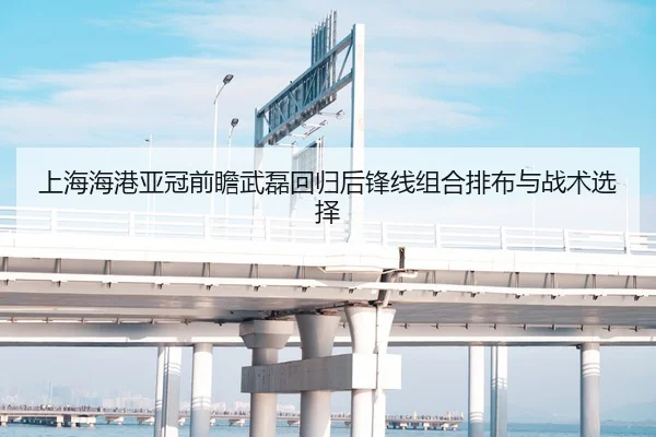 上海海港亚冠前瞻武磊回归后锋线组合排布与战术选择